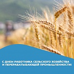 День работника сельского хозяйства и перерабатывающей промышленности